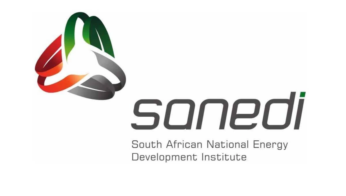 Sanedi careers