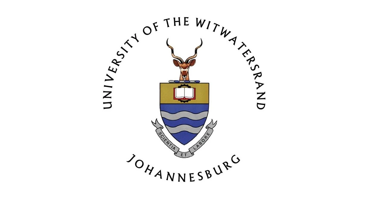 wits careers